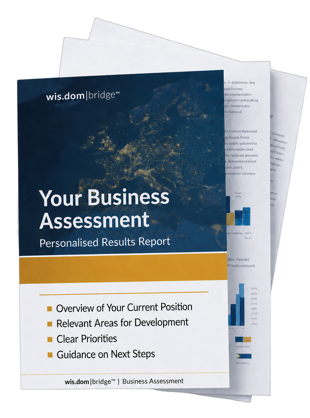 Your Business Assessment - Personalised Results Report