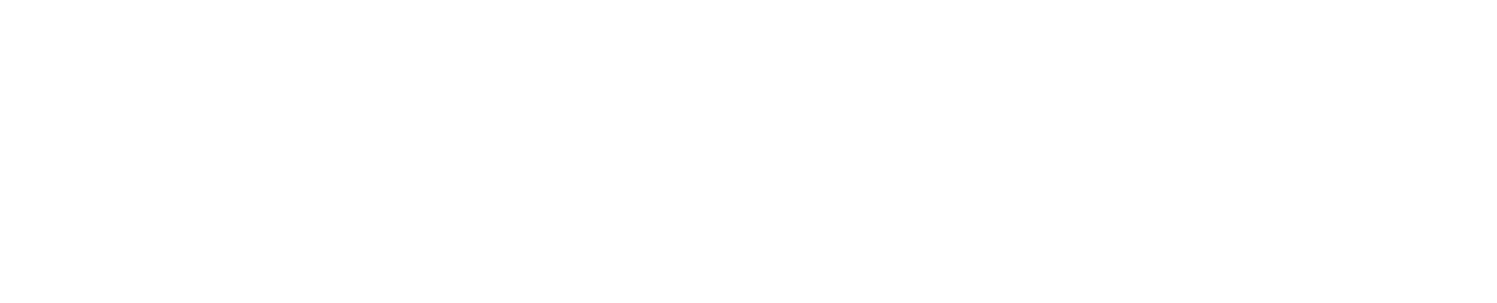WisdomBridge Logo